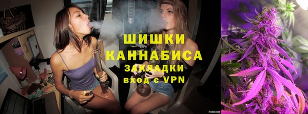твердый Протвино